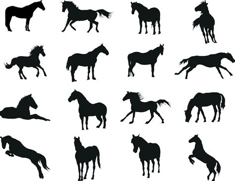 horse silhouette vector